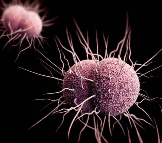 With the closure of screening clinics, the proportion of sexually transmitted diseases has reached a record high in the United States.jpg