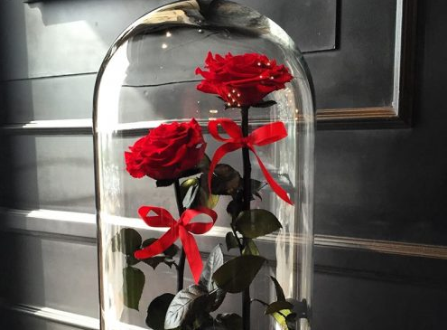 A London company sells "Beauty and the Beast" roses that never fade.jpg