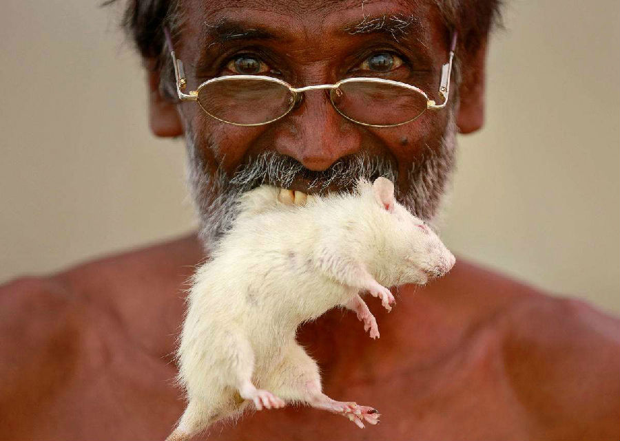 印度灾民摆亡者头骨抗议 为活下去不得不吃老鼠