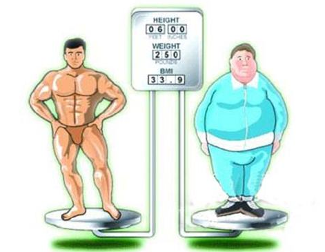 专家表示 体质指数并不能衡量身体健康与否