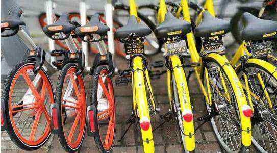According to the survey, over 70% of the respondents called for the introduction of regulations governing shared bicycles.jpg