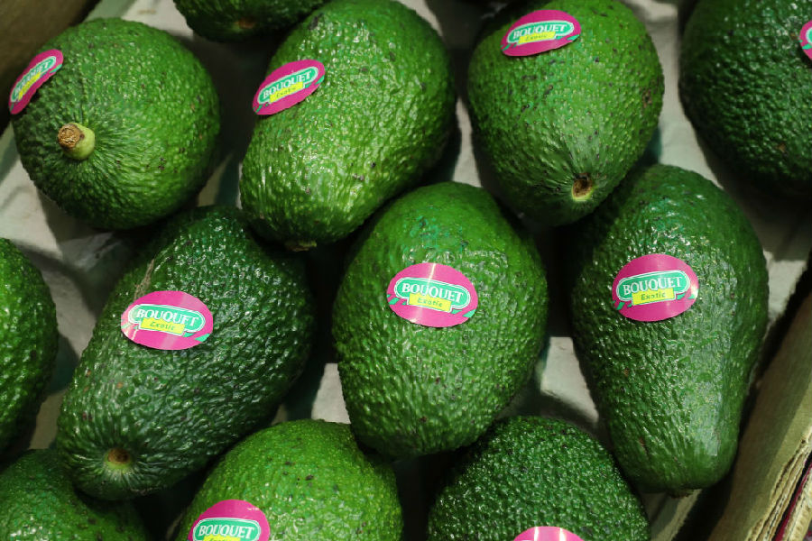 China's imports of "avocado" have soared .jpg