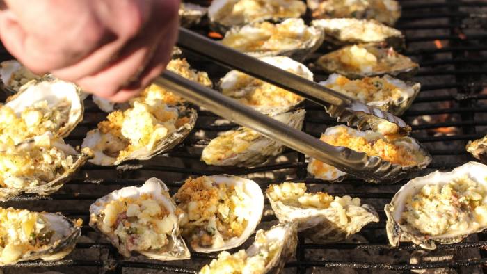The flood of oysters in Denmark asks China for help.jpg