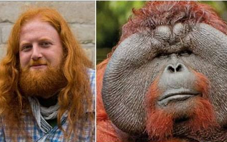 This also works? A foreign man was raped by a red gorilla! .jpg