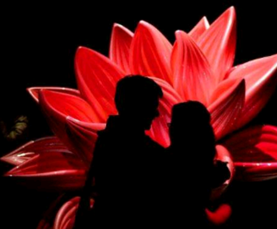 The German court ruled that the privacy rights of escort men are higher than the rights of child custody.jpg