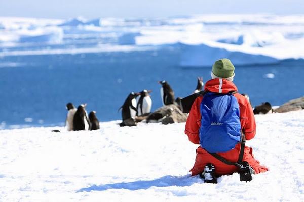 中国游客赴南极旅游人数10年内增40倍