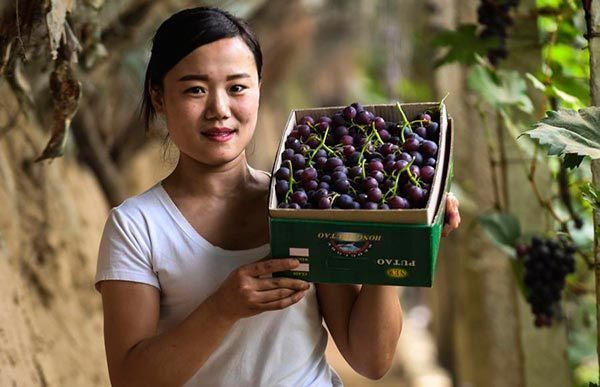 The ingredients introduced into China by the “Belt and Road Initiative”.jpg