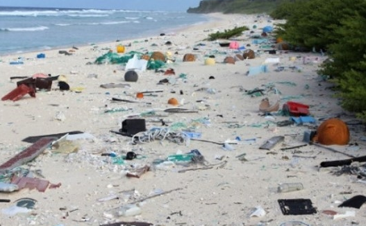 Unable to look straight! An island in the South Pacific is filled with 37 million pieces of trash! .jpg