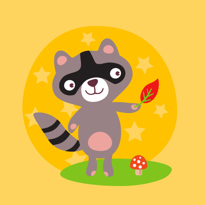 raccoon