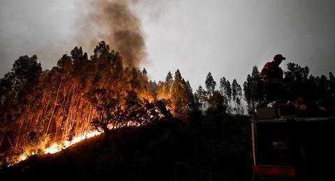 abc新闻:葡萄牙森林火灾至少57人死亡 美国军舰与菲律宾籍货船相撞