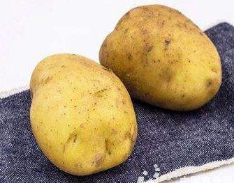 人类首次! 中国将于明年在月球上种土豆!