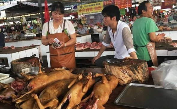 At the Yulin Dog Meat Festival, a large number of dogs were slaughtered and sold.jpg