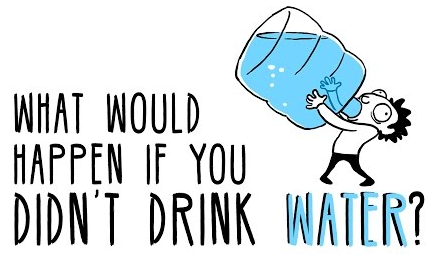 人如果不喝水会怎么样?