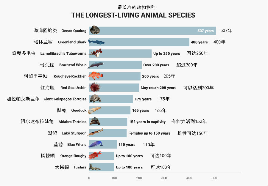 世界上最长寿的10种动物2.jpg