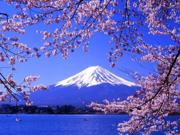 日本最佳旅游季节_英语视频听力