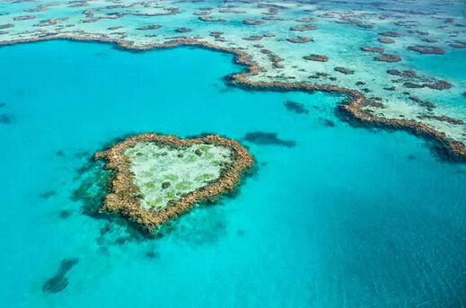 澳大利亚大堡礁总价值高达560亿澳元