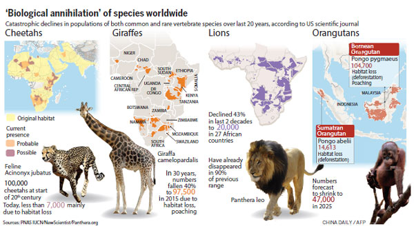 The sixth wild animal extinction is accelerating.jpg