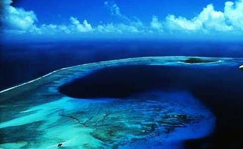 核弹试爆后70年 比基尼环礁的海洋生物繁殖兴盛