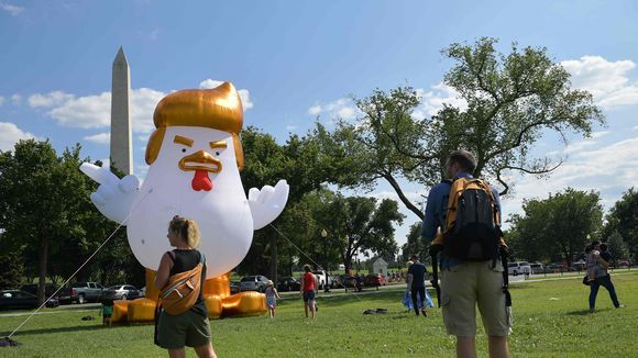 Giant chicken balloon with Trump-like hair