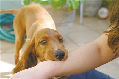 A woman in Shaanxi still died after being vaccinated against rabies.jpg