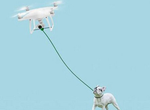 The drone can help you walk your dog along the GPS positioning route.jpg