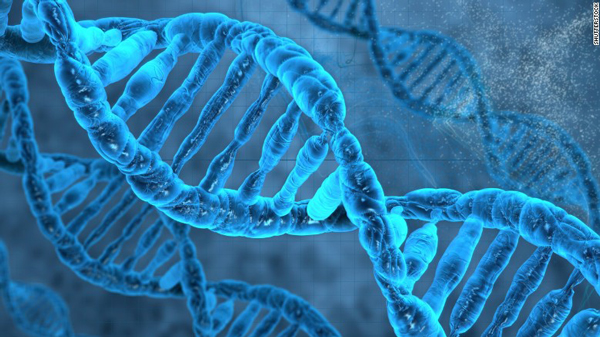 美国首次对人类胚胎进行基因编辑.jpg