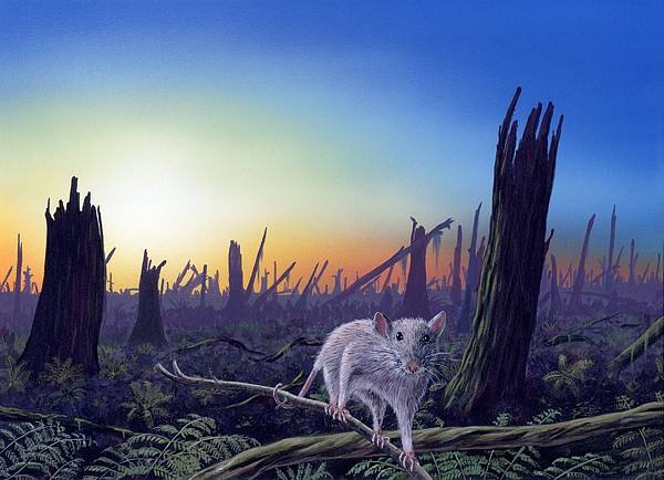 The earth has entered the sixth mass ecological extinction faster than expected.jpg