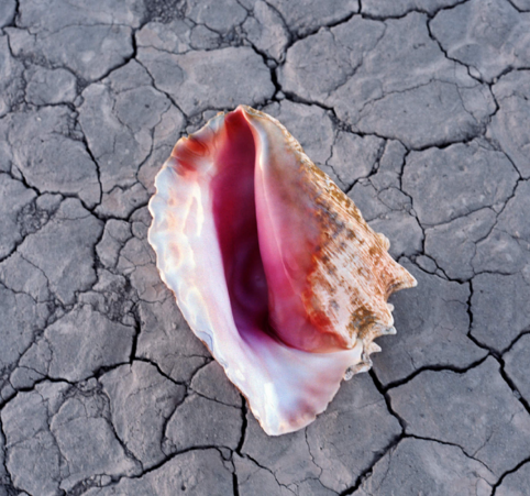 欧美新歌速递 第712期:Wonderful Wonderful-T