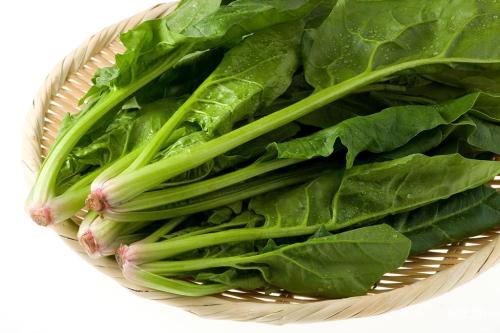 研究表明 吃菠菜或引发老年痴呆!