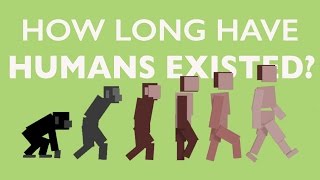 人类历史有多长