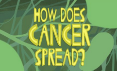 癌细胞能否转移的影响因素