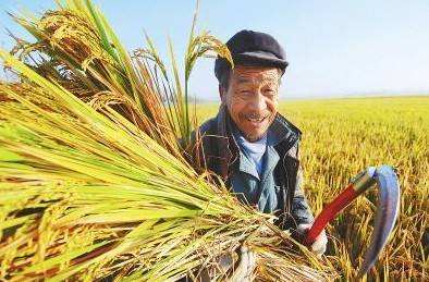 China’s per capita food consumption exceeds the world average.jpg