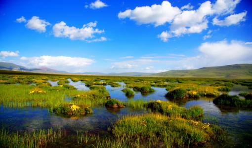 my country released the overall plan for the development and management of national parks.jpg