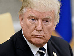 Learn from Trump and tweet every day.jpg