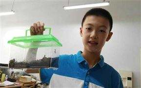 厉害了! 杭州一小学生将蜗牛养到四代同堂!.jpg