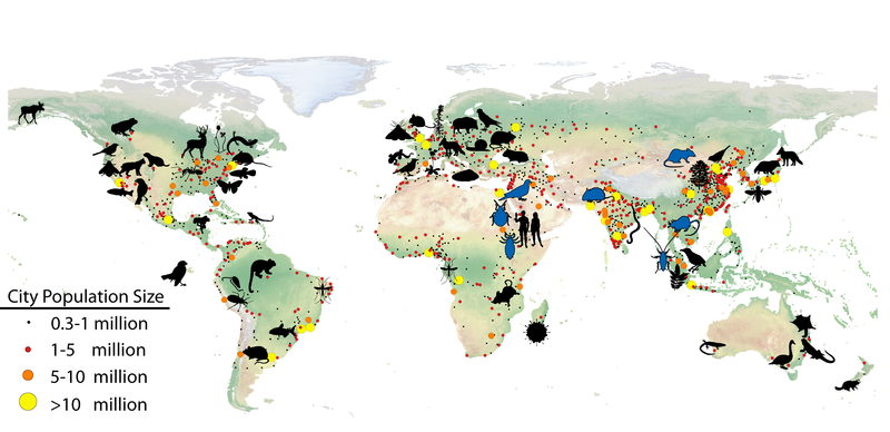 world.png world.png