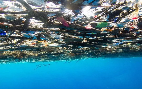 触目惊心! 加勒比海被塑料垃圾'活埋'