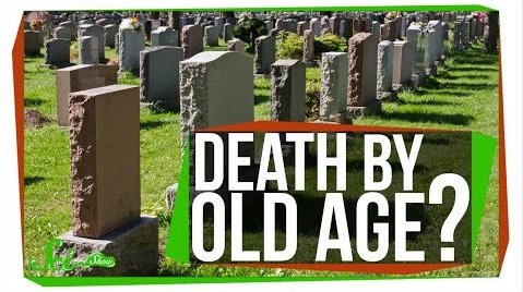 人类真的有可能老死么