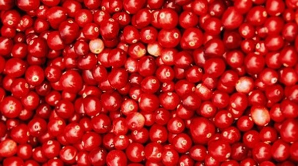 科学家设计出估算蔓越莓产量的新办法