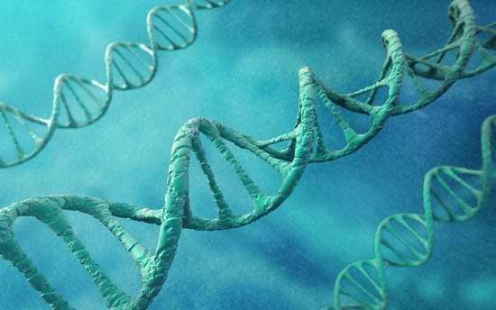 科学家发现了与同性恋有关的基因.jpg