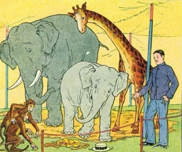 The elephant's hat