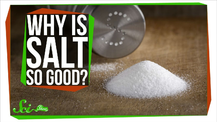 为什么盐能让食物更加美味