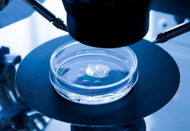 重大生育突破——人类卵子首次在实验室中完全成熟.jpg