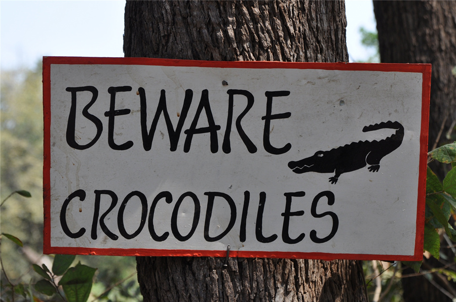 The crocodile brand replaced the logo in order to protect endangered species? .jpg