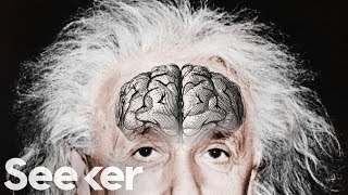 爱因斯坦大脑