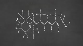 分子的形状是什么样的?