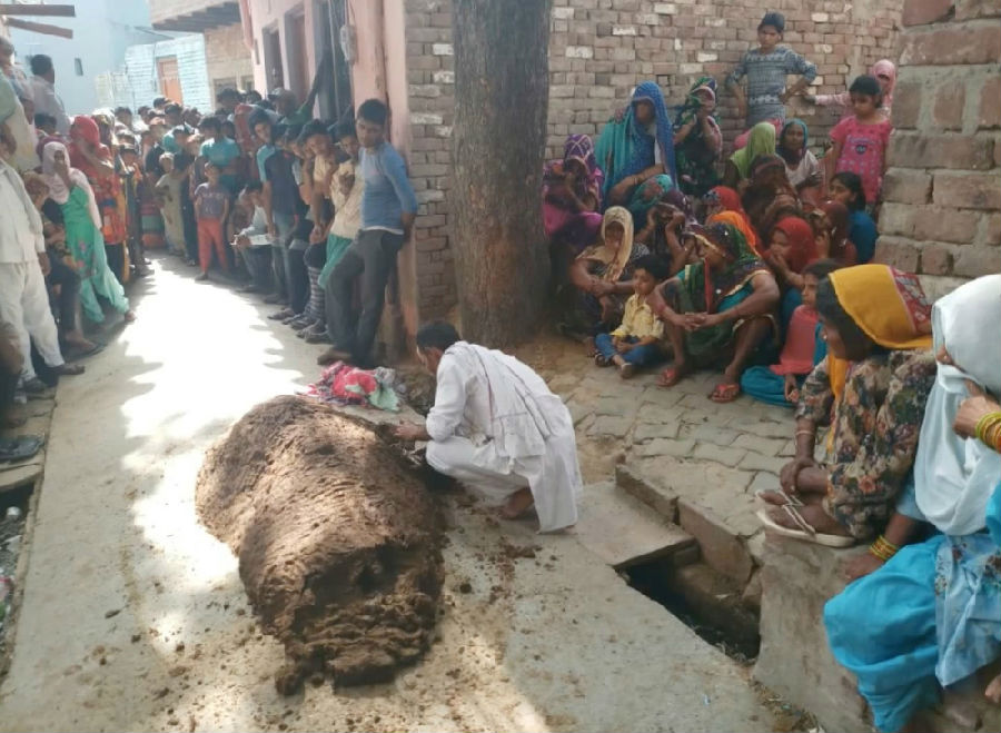 为治疗蛇毒 印度女子被丈夫用牛粪活埋身亡