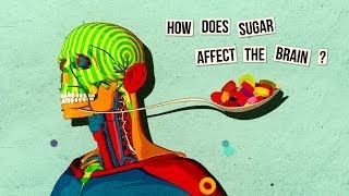 糖类怎样影响大脑