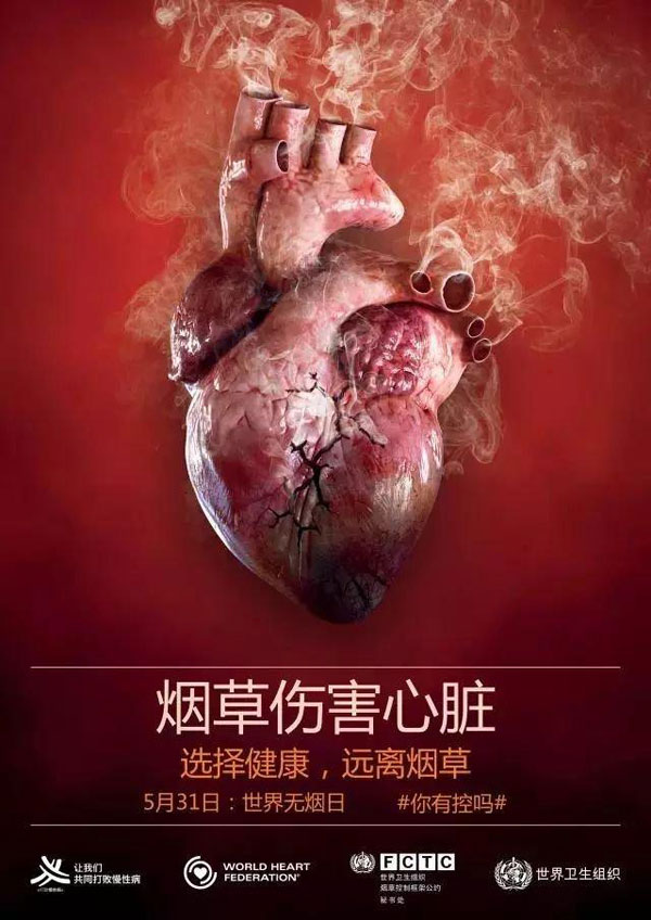 全球每年300万人因吸烟过早死亡.jpg