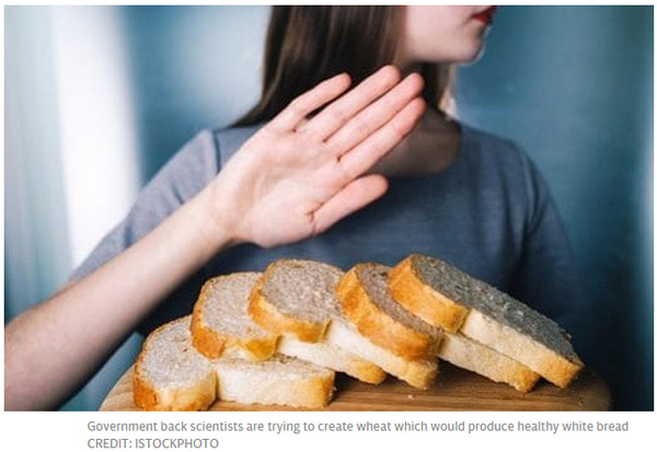Scientists will produce "healthy" white bread within ten years, and you will be full by eating a little bit .jpg